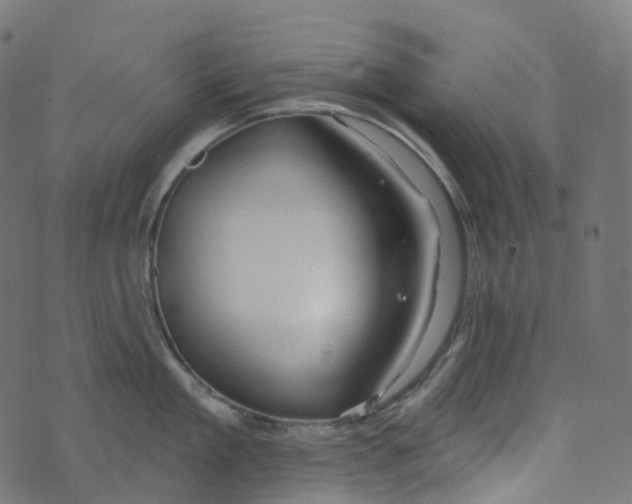 X0000073420909200608251547