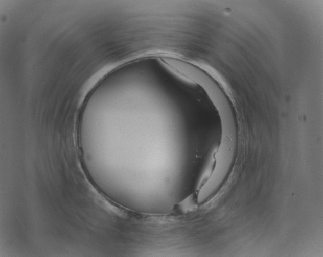 X0000073420910200608251547