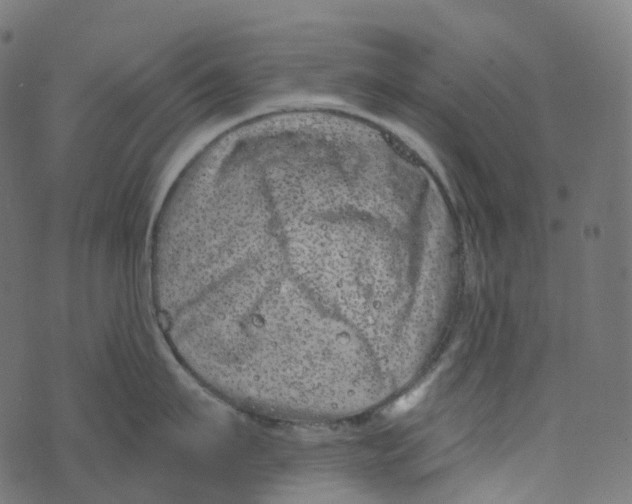 X0000073420911200608251547