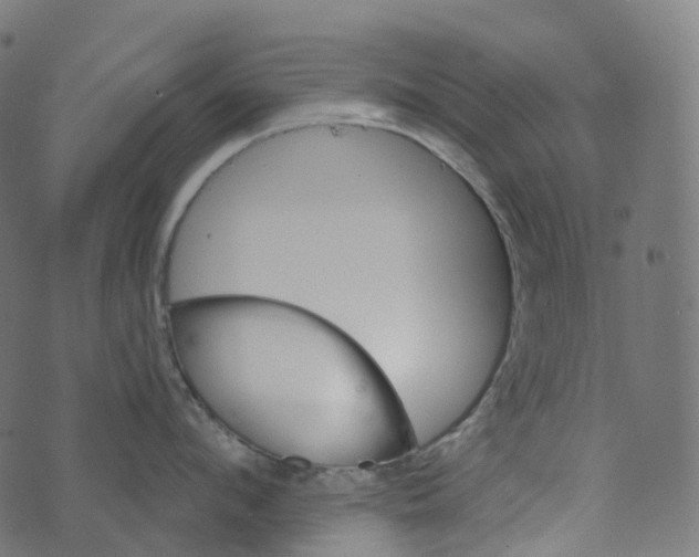 X0000073420912200608251547