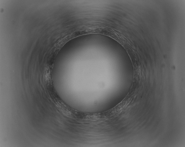 X0000073420914200608251546