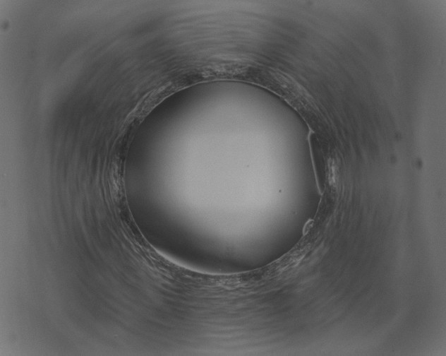 X0000073420915200608251546