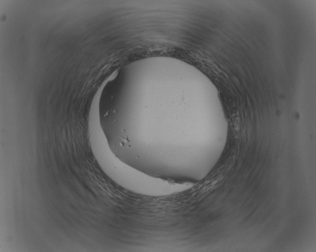 X0000073420916200608251546