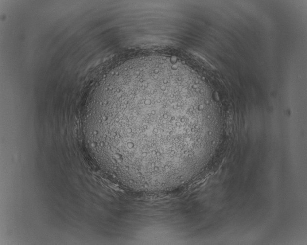 X0000073420917200608251546