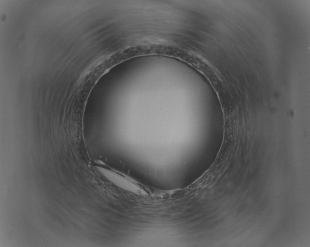 X0000073420919200608251546