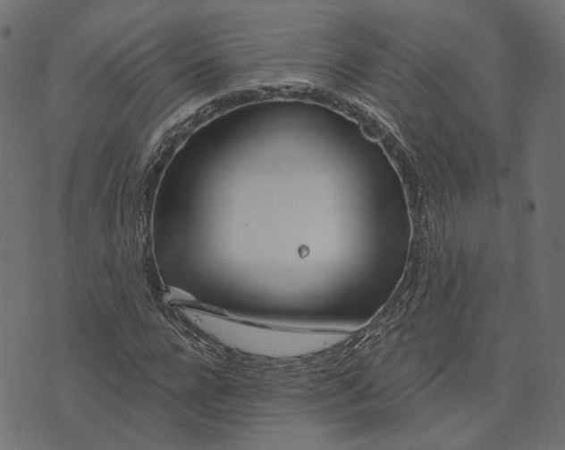 X0000073420920200608251546