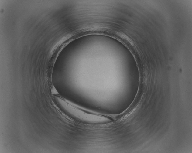 X0000073420922200608251546