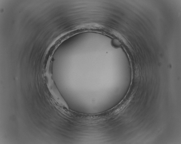 X0000073420923200608251546