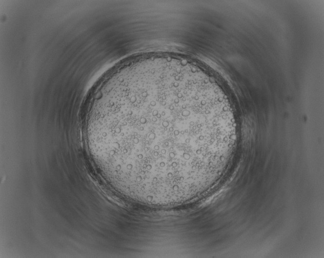 X0000073420925200608251546