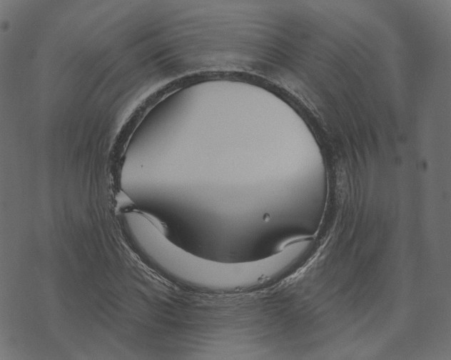 X0000073420926200608251546