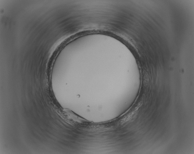 X0000073420927200608251546