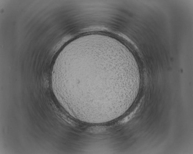 X0000073420929200608251546