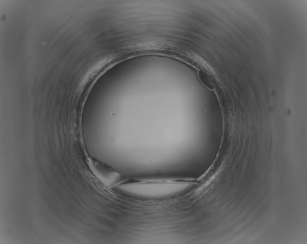 X0000073420930200608251546