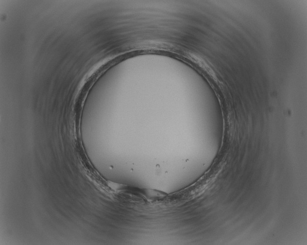 X0000073420931200608251546