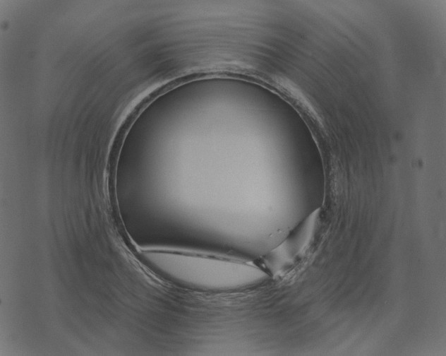 X0000073420932200608251546