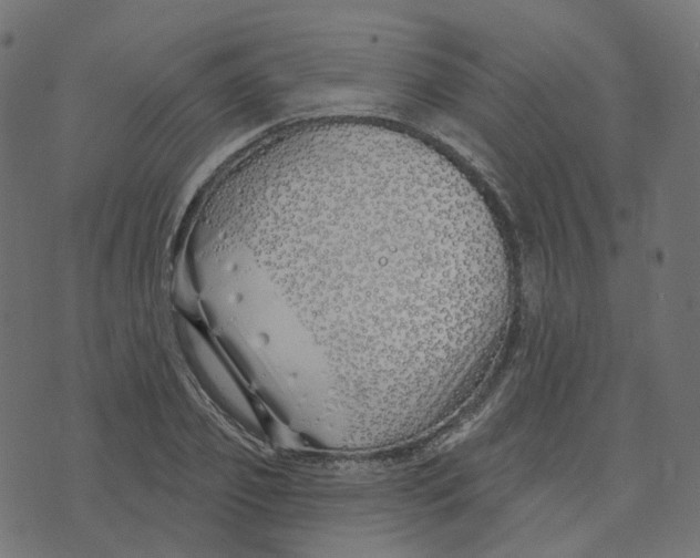 X0000073420933200608251546