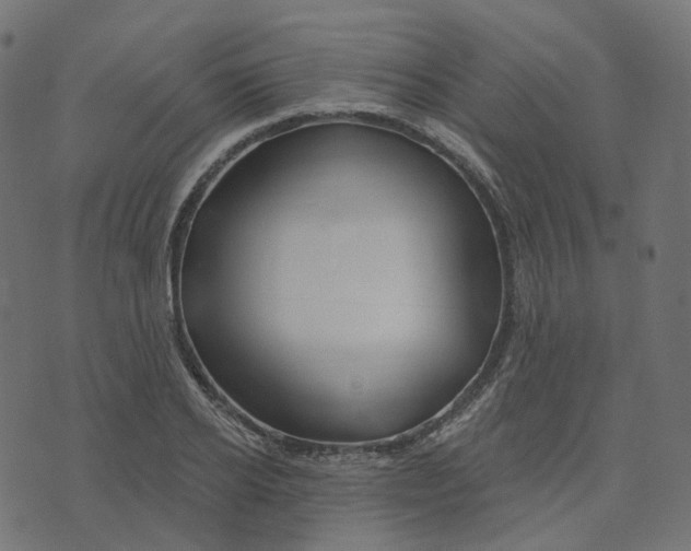 X0000073420934200608251546