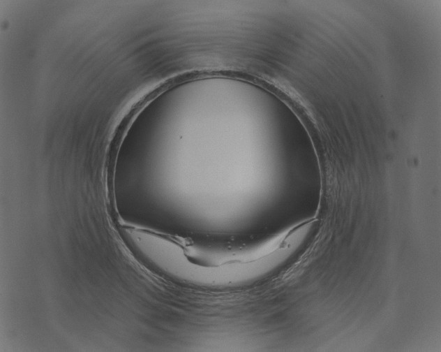 X0000073420935200608251546