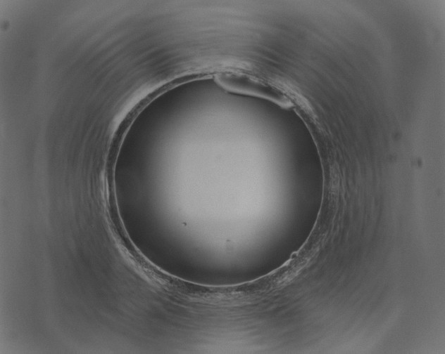 X0000073420936200608251546