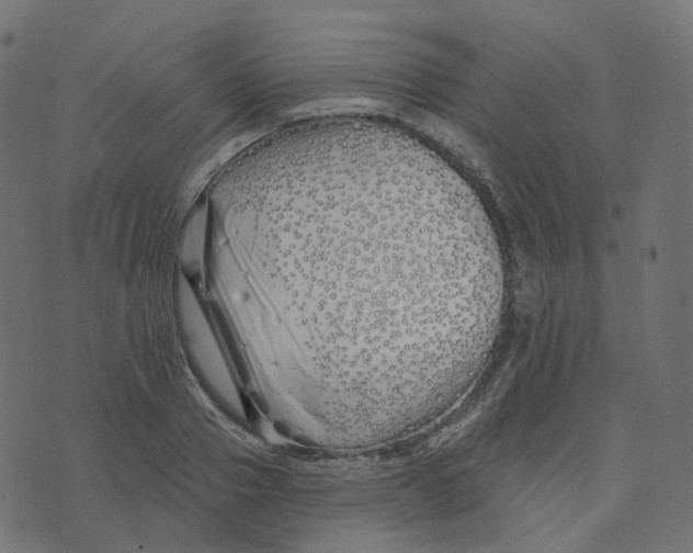 X0000073420937200608251546