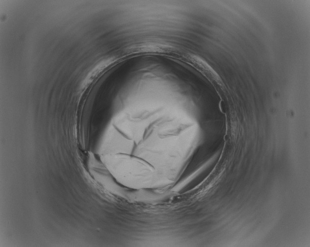 X0000073420938200608251546