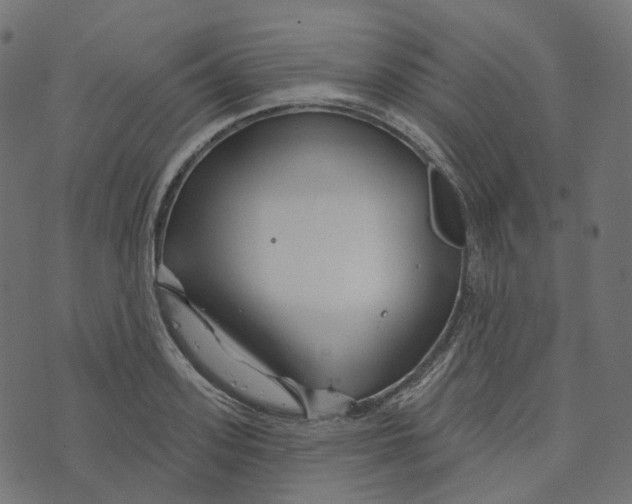 X0000073420939200608251546