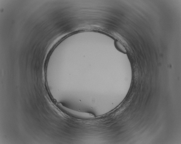 X0000073420940200608251546