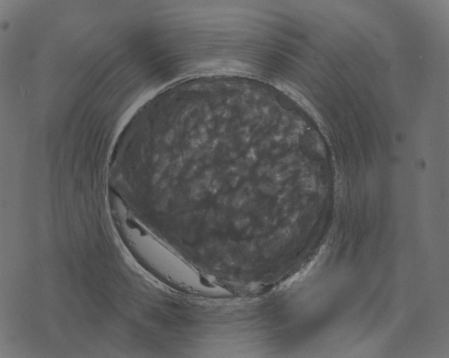 X0000073420941200608251546