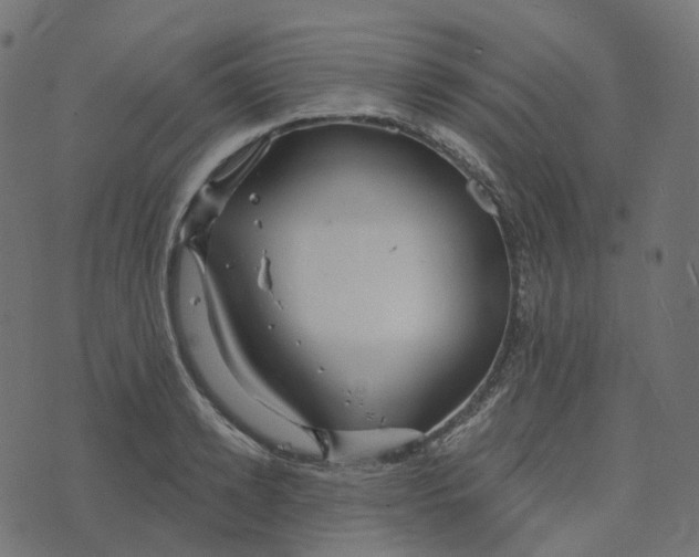 X0000073420942200608251546