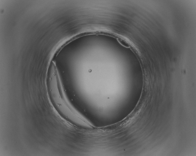 X0000073420943200608251546