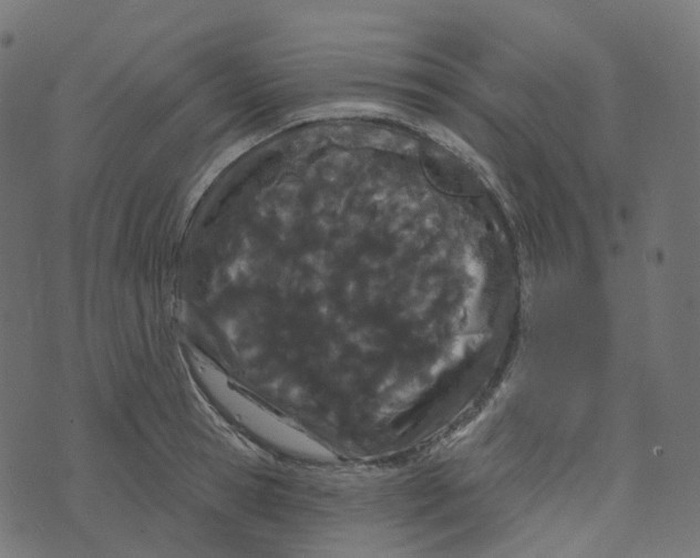 X0000073420945200608251546