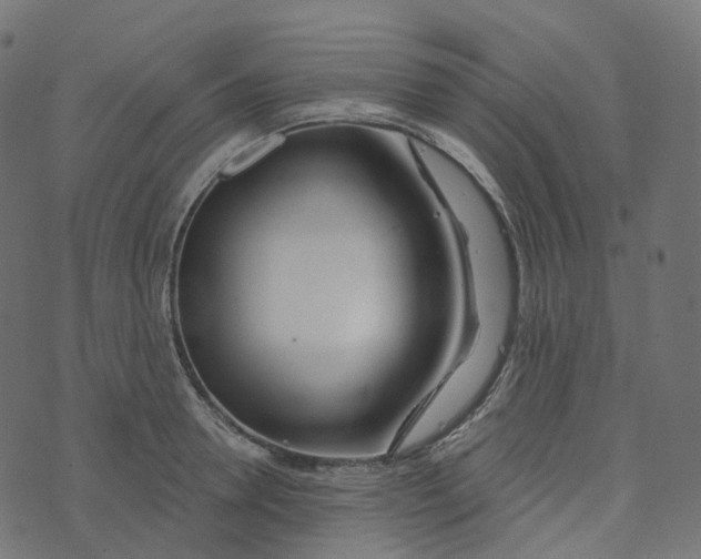 X0000073420946200608251546