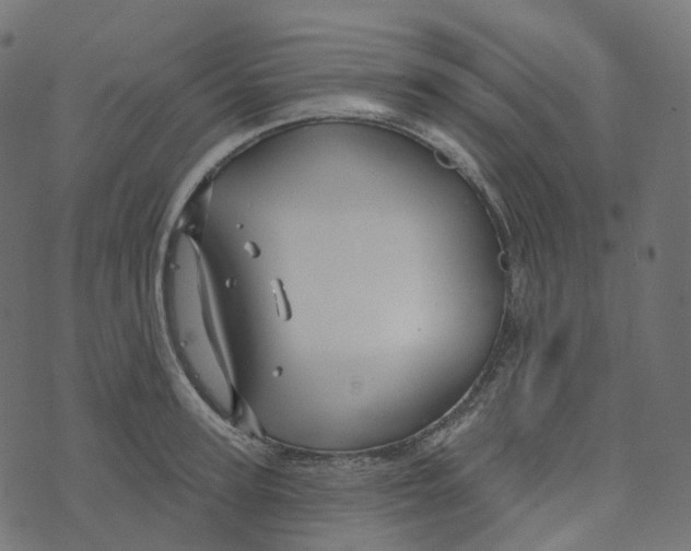 X0000073420947200608251546