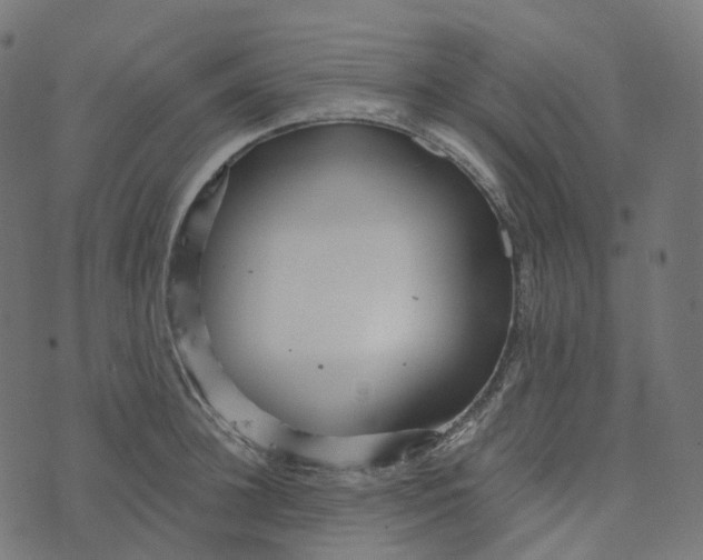 X0000073420948200608251546