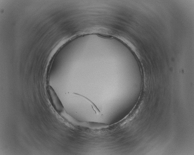 X0000073420949200608251547