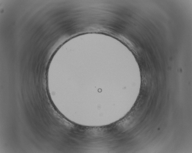 X0000073420950200608251547