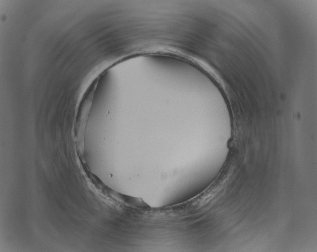 X0000073420951200608251547