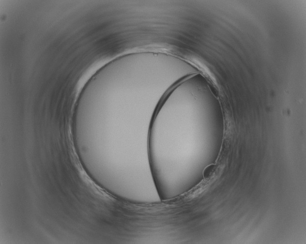 X0000073420952200608251547