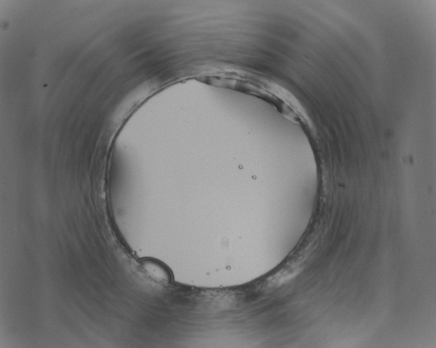 X0000073420954200608251547