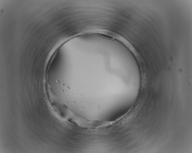 X0000073420955200608251547