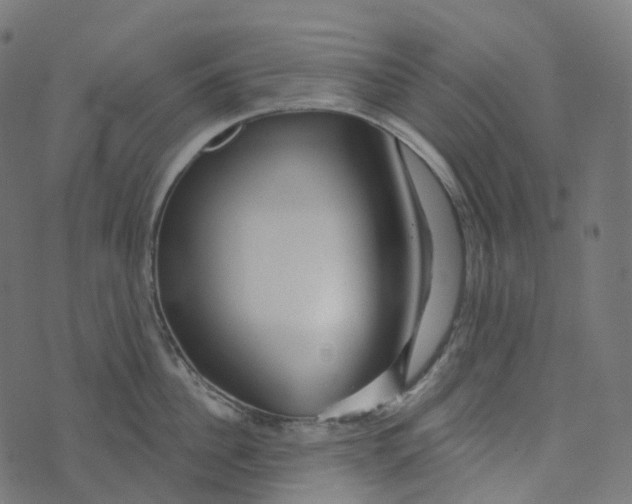 X0000073420956200608251547