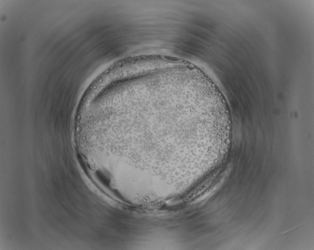 X0000073420957200608251547