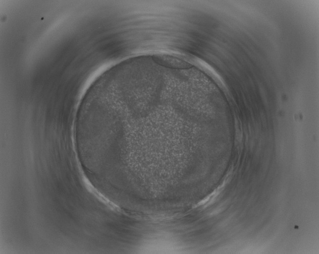 X0000073420958200608251547