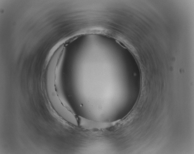 X0000073420960200608251547