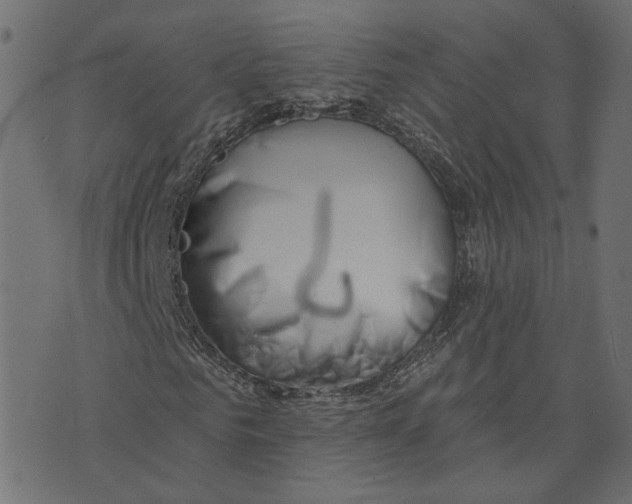 X0000073420961200608251546