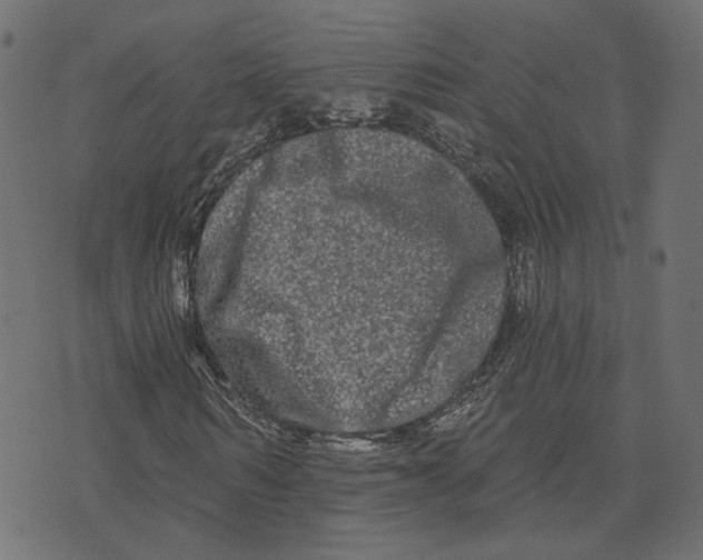 X0000073420962200608251546