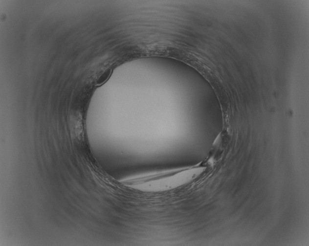 X0000073420963200608251546