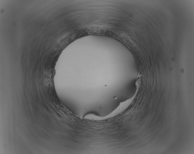 X0000073420964200608251546