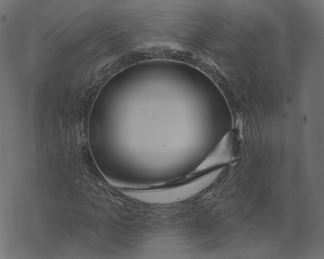 X0000073420965200608251546