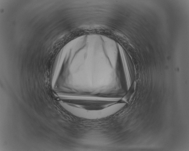 X0000073420966200608251546